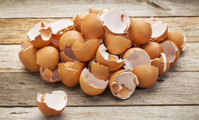 Eggs Blog Photo